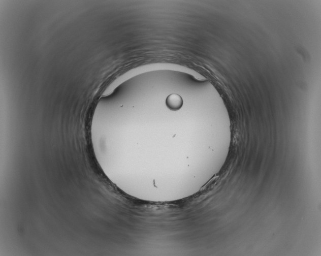 X0000113100524200909251034