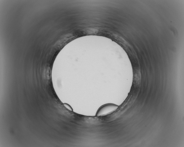 X0000113100525200909251034