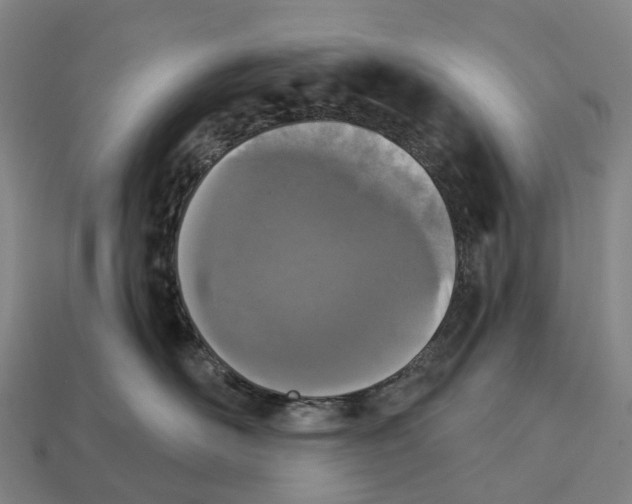 X0000113100526200909251034