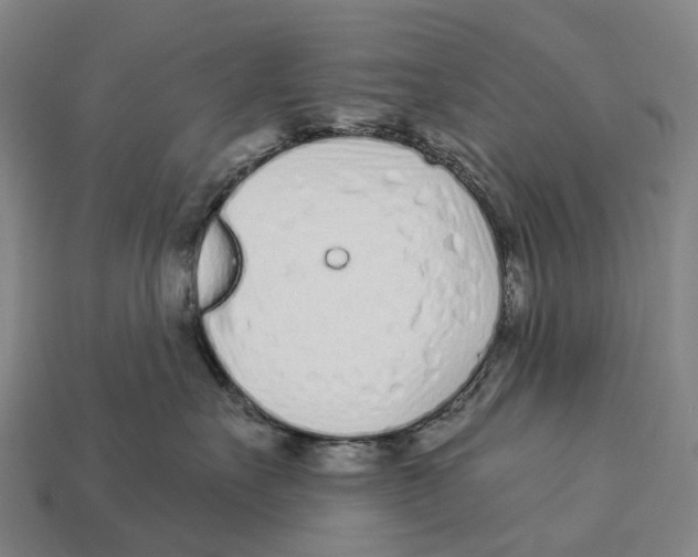 X0000113100527200909251034