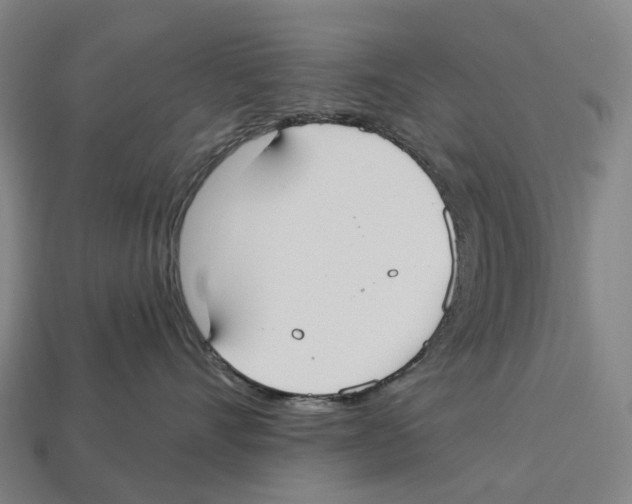 X0000113100528200909251034