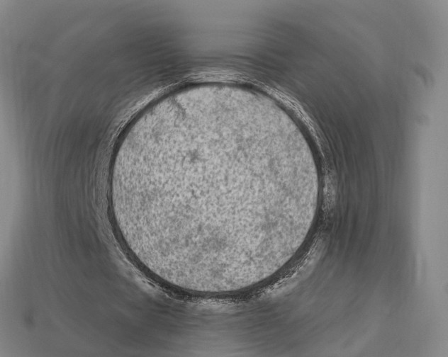 X0000113100529200909251033