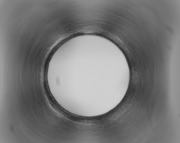 X0000113100530200909251033