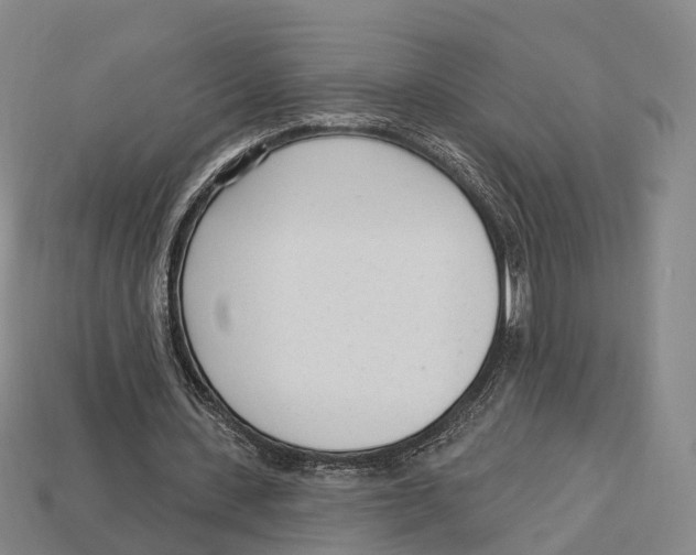 X0000113100531200909251033