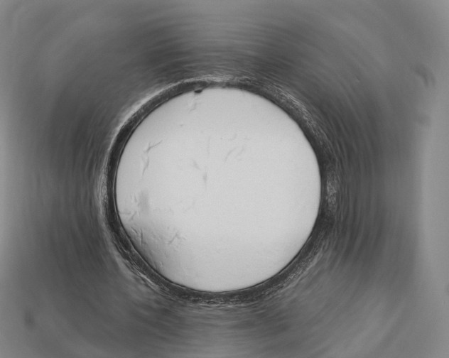X0000113100532200909251033