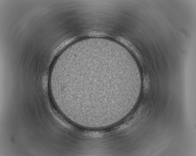 X0000113100533200909251033