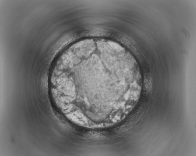 X0000113100534200909251033
