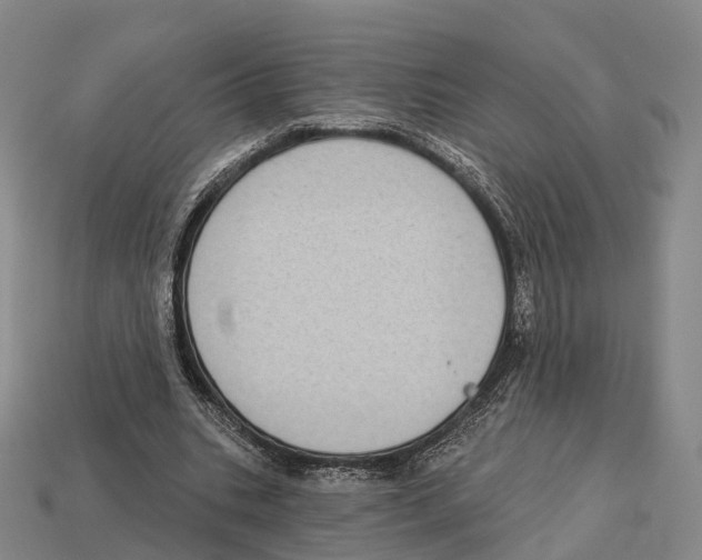 X0000113100535200909251033