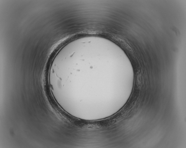 X0000113100536200909251033
