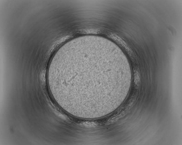 X0000113100537200909251033