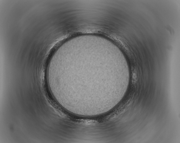 X0000113100539200909251033