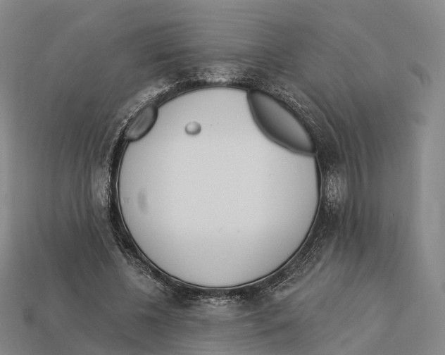 X0000113100540200909251033