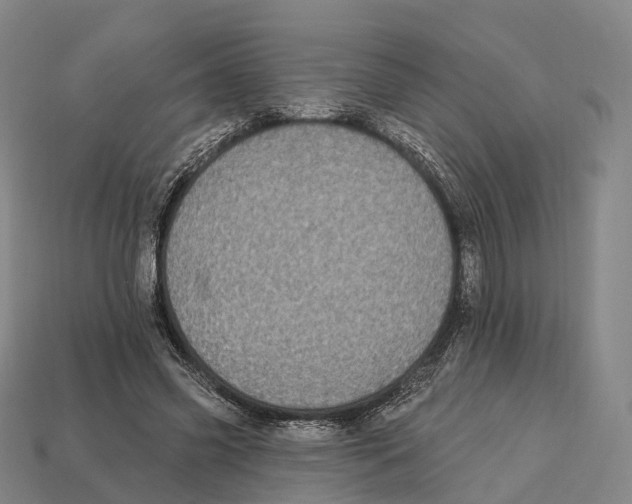 X0000113100541200909251033