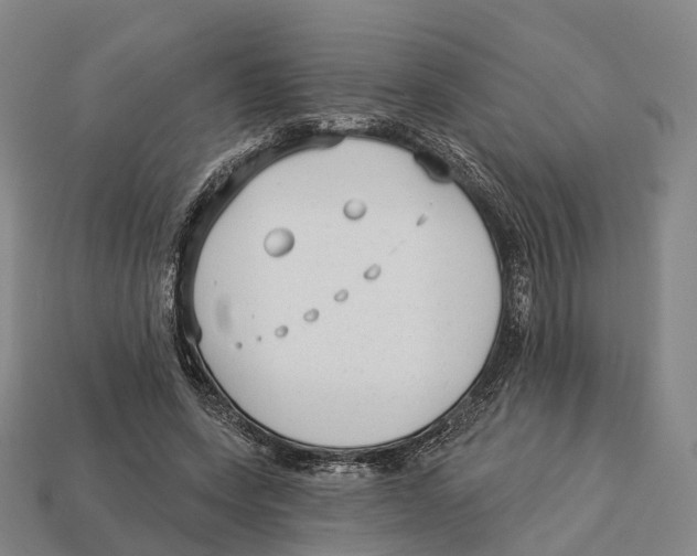 X0000113100543200909251033