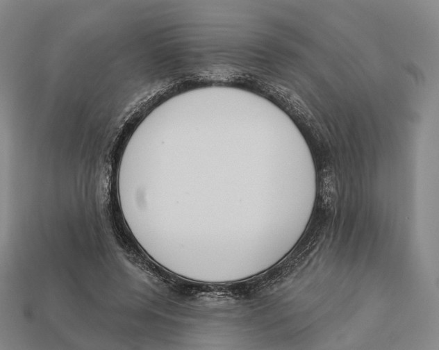 X0000113100544200909251033