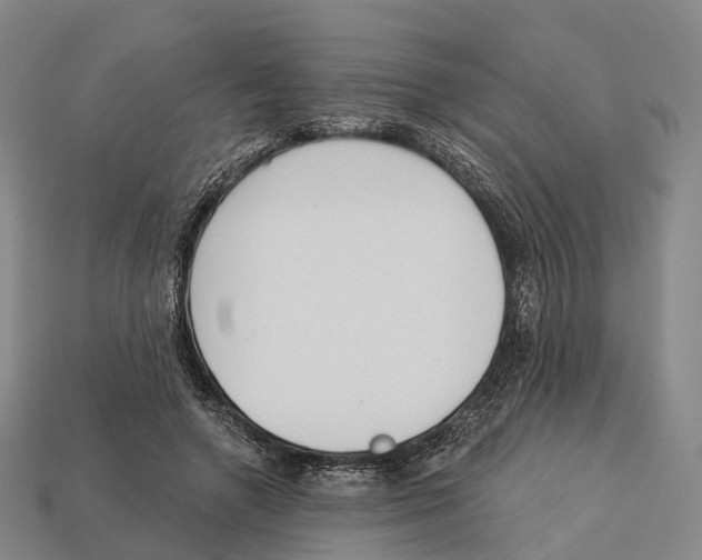 X0000113100546200909251033