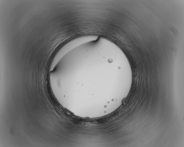 X0000113100548200909251033