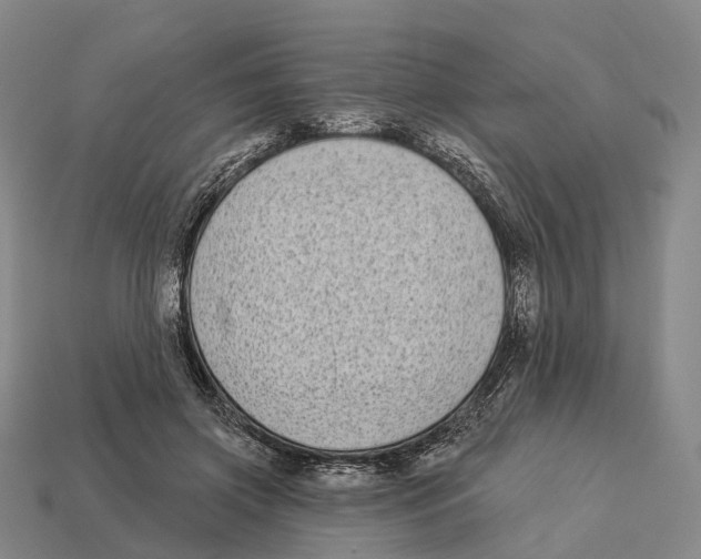 X0000113100549200909251033