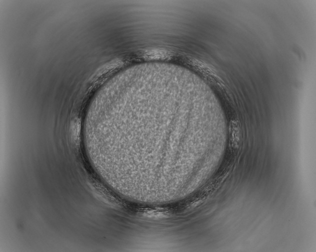 X0000113100550200909251033