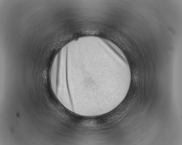 X0000113100551200909251033