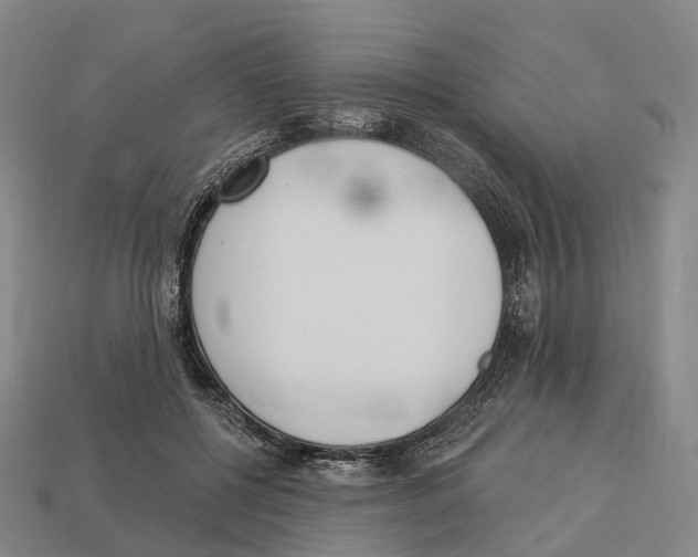 X0000113100552200909251033