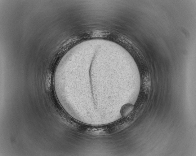X0000113100554200909251034