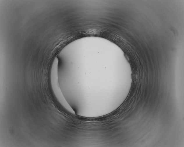 X0000113100556200909251034