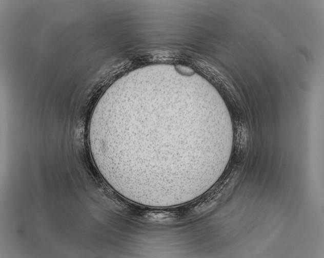 X0000113100557200909251034
