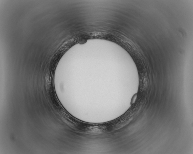 X0000113100558200909251034