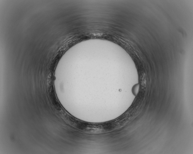 X0000113100559200909251034