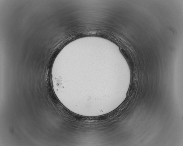 X0000113100560200909251034