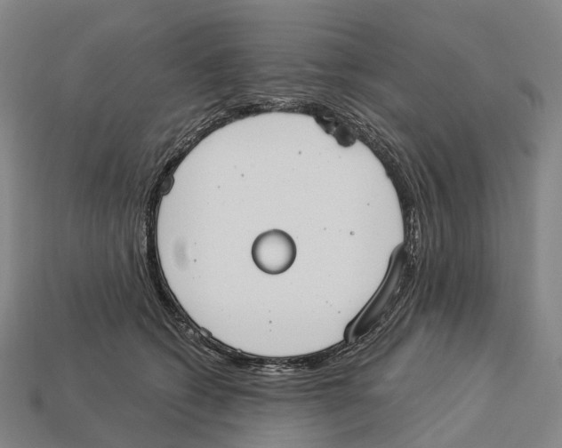 X0000113100562200909251034