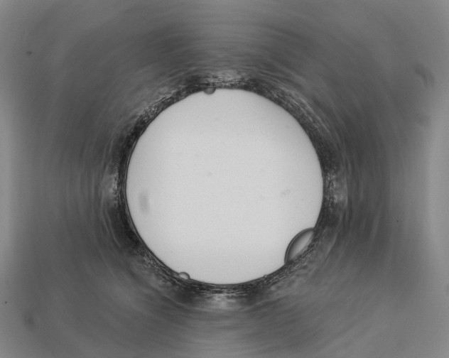 X0000113100564200909251034