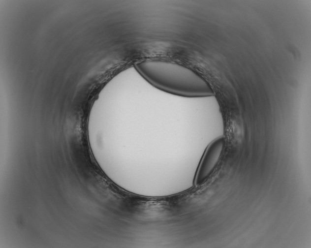 X0000113100566200909251034