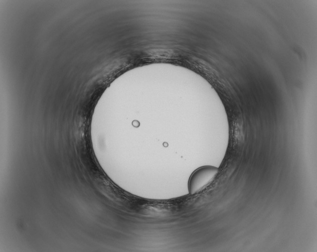 X0000113100567200909251034