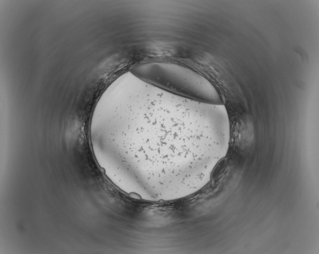 X0000113100568200909251034