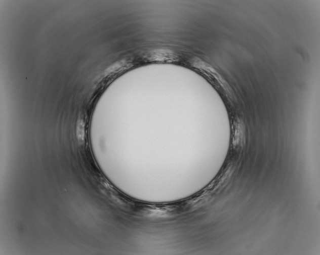 X0000113100569200909251034
