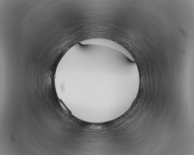 X0000113100570200909251034