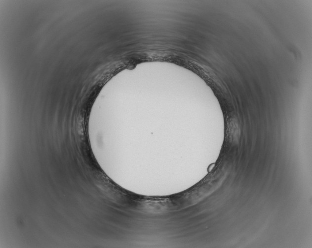 X0000113100571200909251034