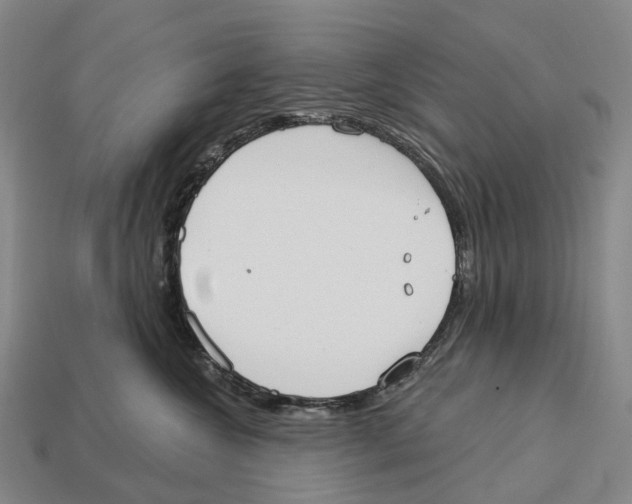 X0000113100572200909251034
