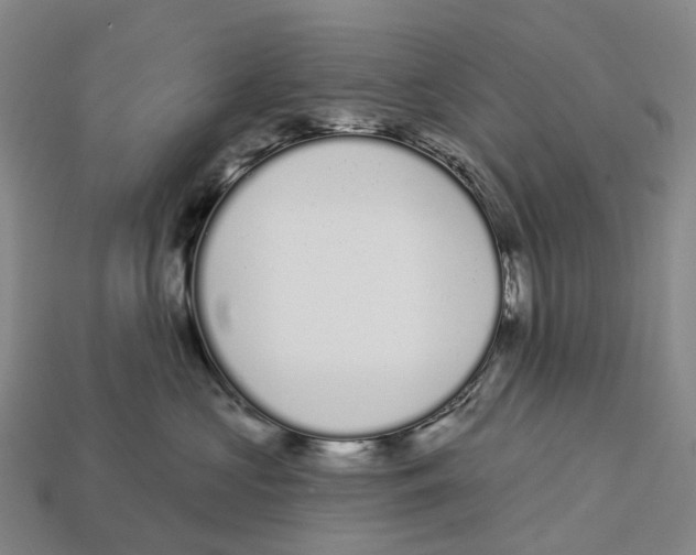 X0000113100573200909251034
