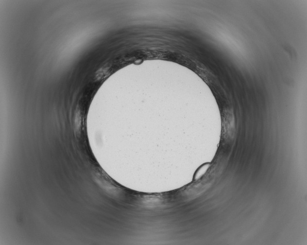 X0000113100574200909251034