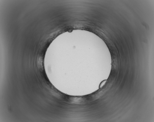 X0000113100575200909251034
