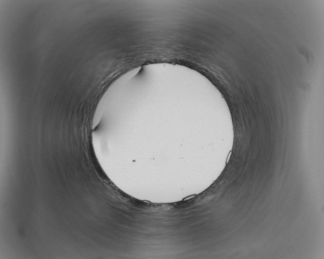 X0000113100576200909251034