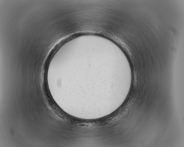X0000113100580200909251033