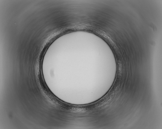 X0000113100582200909251033