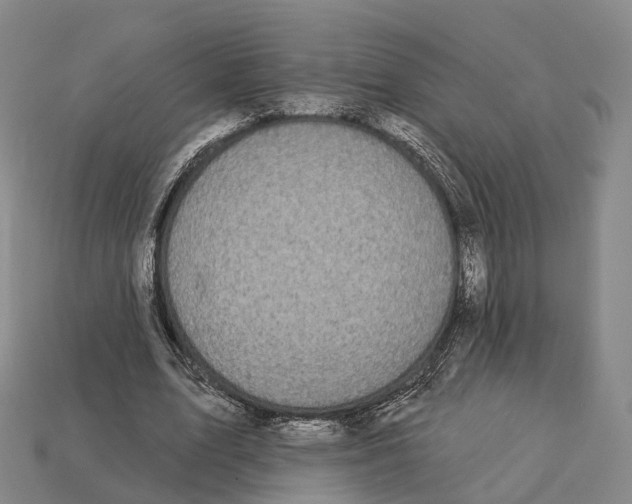 X0000113100583200909251033