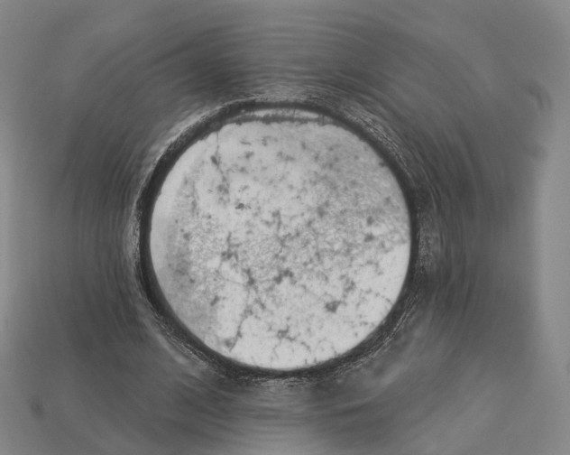 X0000113100584200909251033