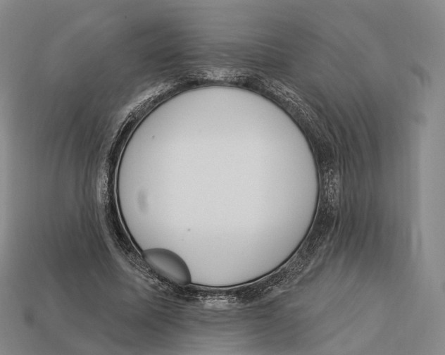 X0000113100587200909251033