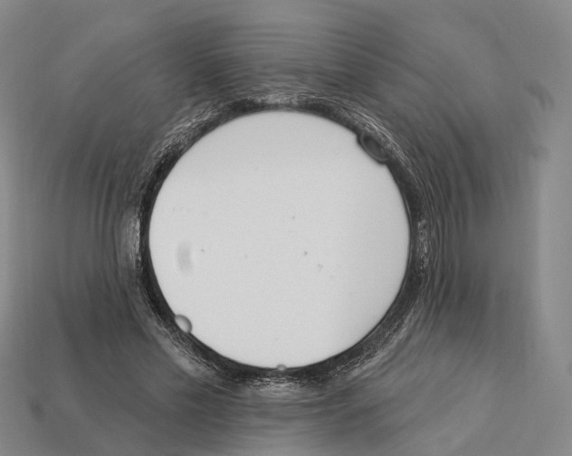 X0000113100589200909251033